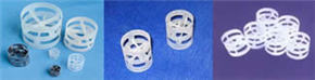 Pall ring